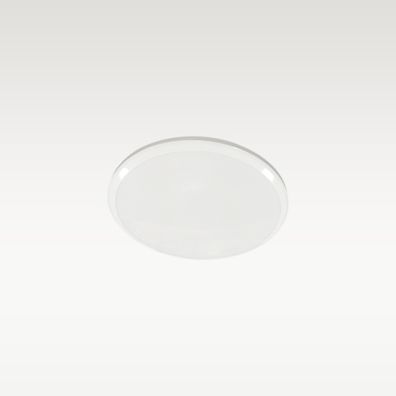 集控型 Ø260三防吸顶灯(集电/自电)