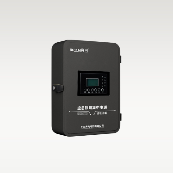 应急照明集中电源(锂电池)
